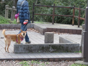 赤塚公園