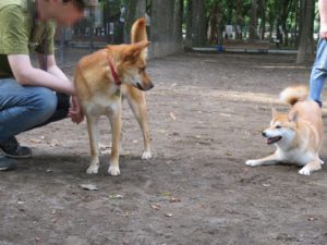 かわいい笑顔で