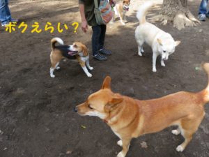 かわいい笑顔で