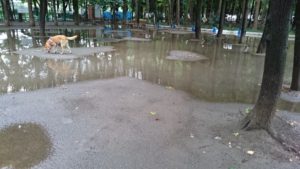 やみまにサクッと