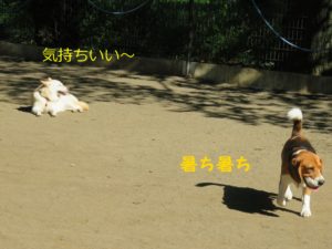 ひとりにさせて