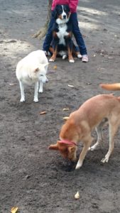 ジャムレナケン