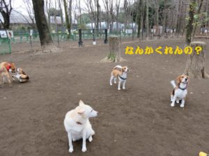 今度ピシッとね