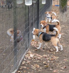 今度ピシッとね