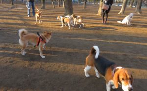 快調なすべり出し