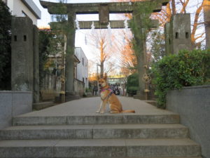 ケン北野神社