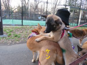 みんなに囲まれる