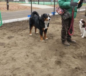 カワイイおべべ