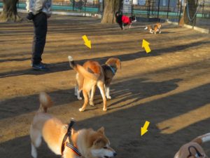 快調なすべり出し