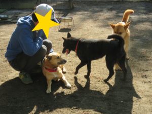 甘えっ子になる