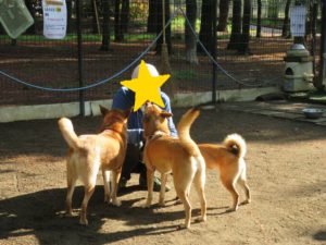 甘えっ子になる