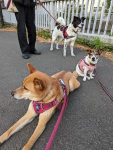 ケンルースレイラ